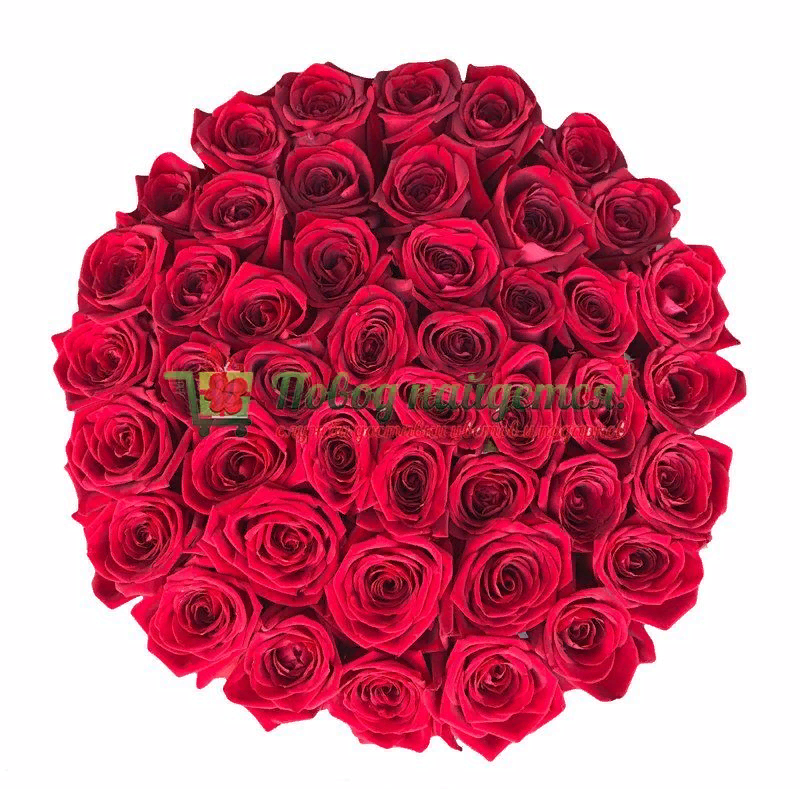 Букет роз для любимой женщины