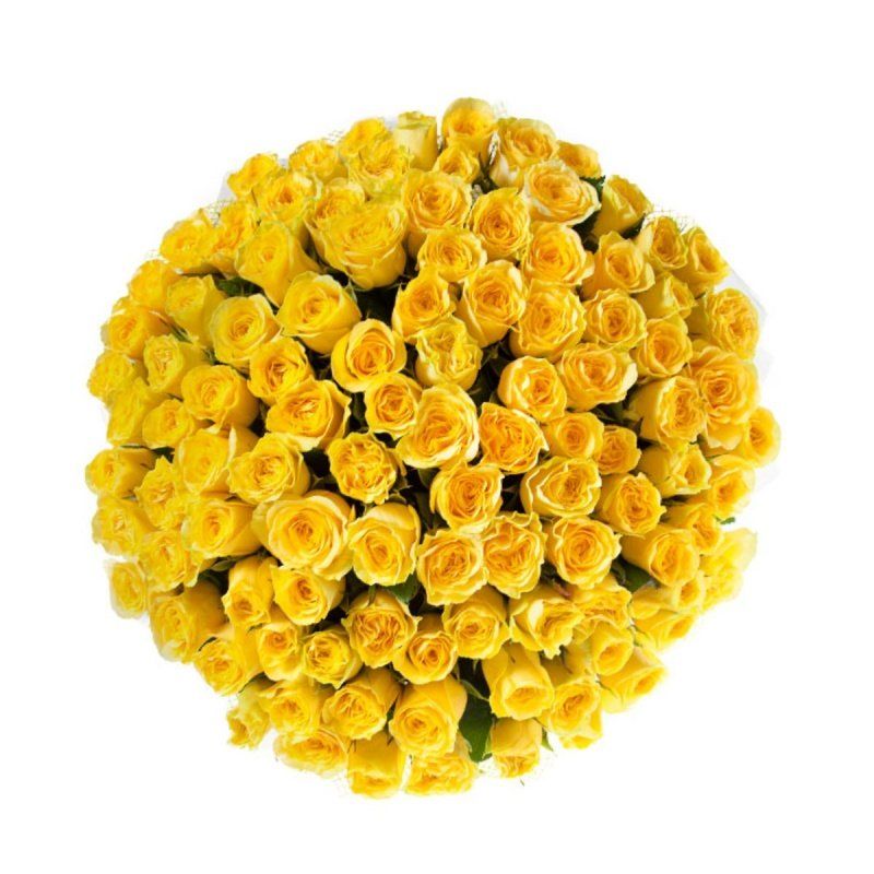 Желтые розы огромный букет
