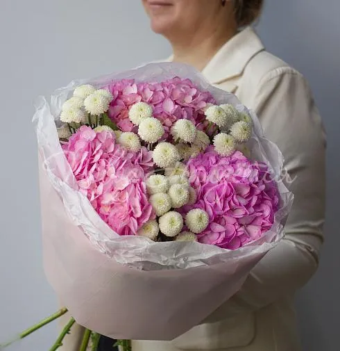 Хризантемы