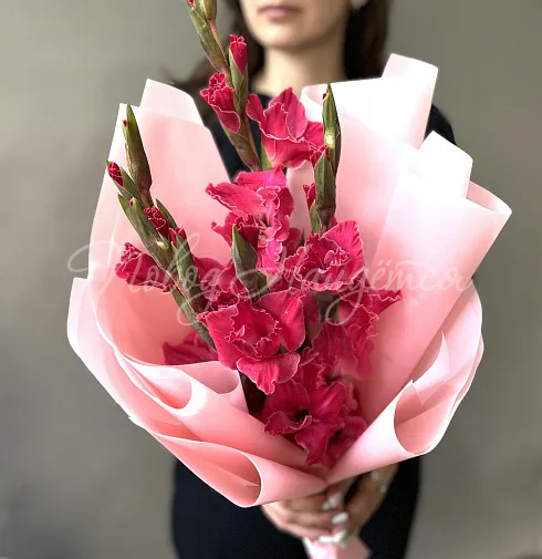 Гладиолусы