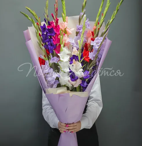 Гладиолусы