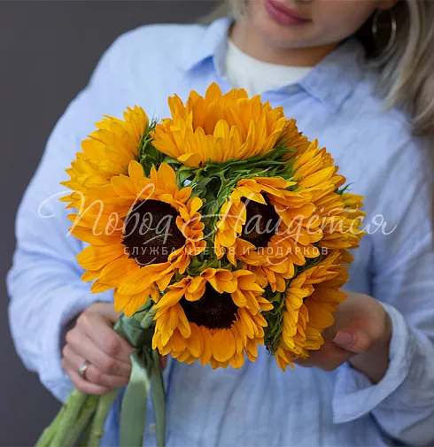 ПОДСОЛНУХИ