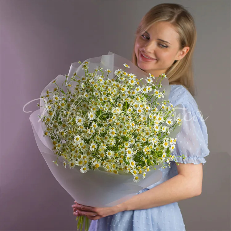 Какие цветы подарить сестре