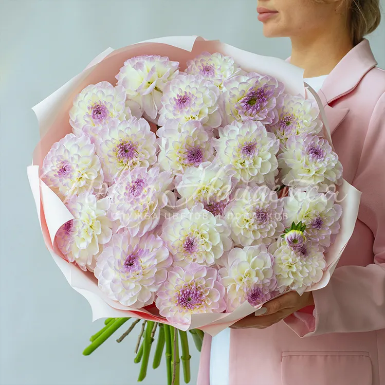 Монобукеты из георгинов Букет Ваниль