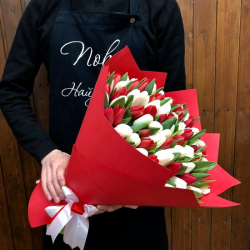 Лед и Пламя