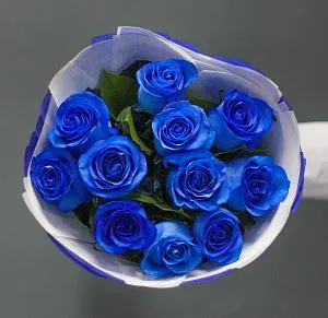 Синие цветы