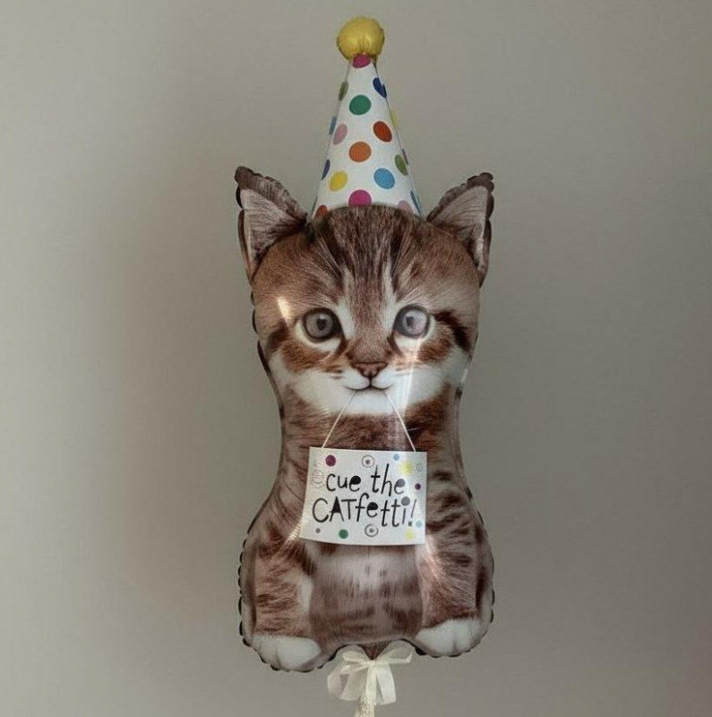 Шары Котенок в колпаке