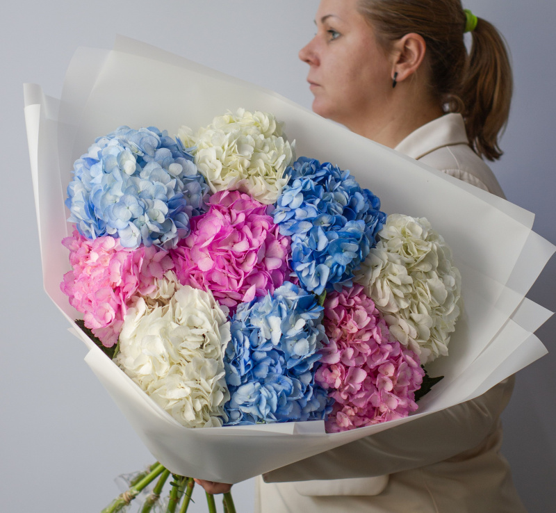 ГОРТЕНЗИИ Букет Разноцветная радуга