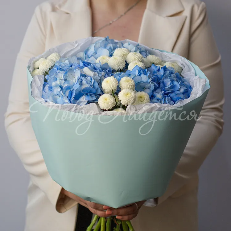 Гортензии и хризантемы