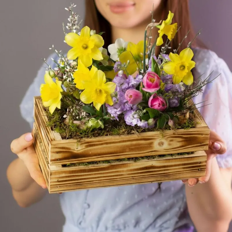 8.03 Весенний лес