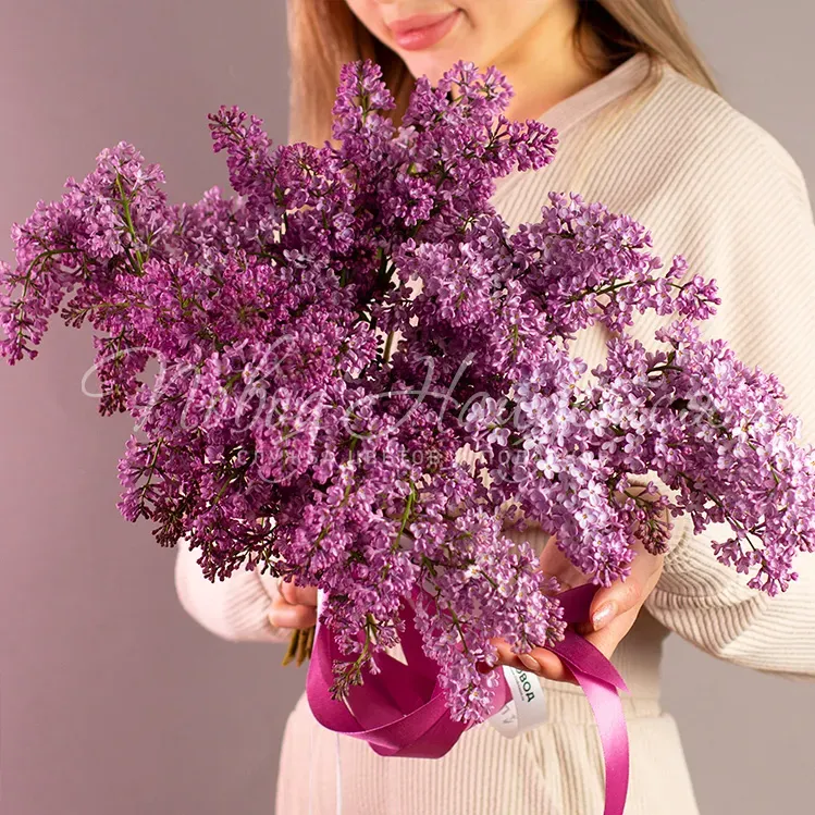 СИРЕНЬ Букет Весенняя песня