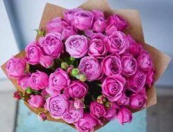 Розы Мисти Баблс