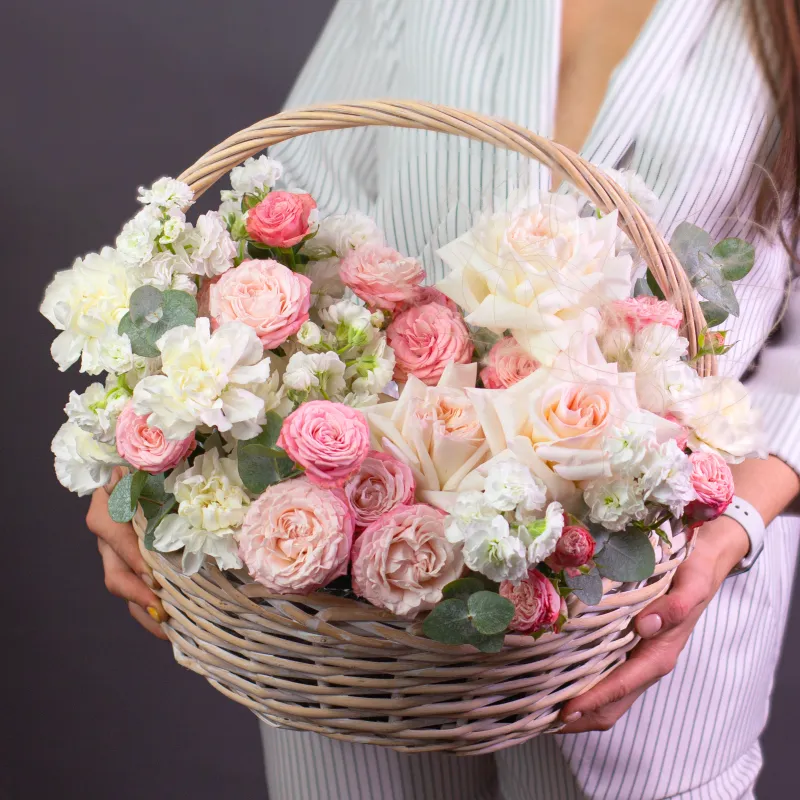 Франция Коллекция Артуа