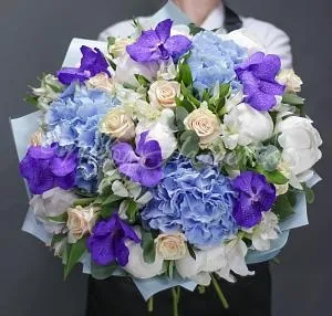 Синяя гортензия