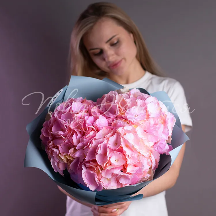 Букеты из 3 гортензий