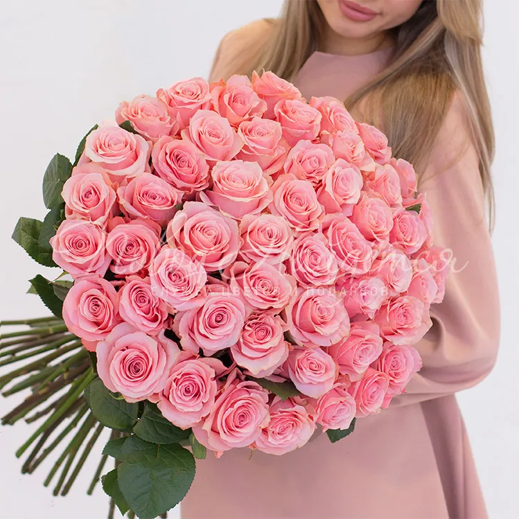 Розы эквадор