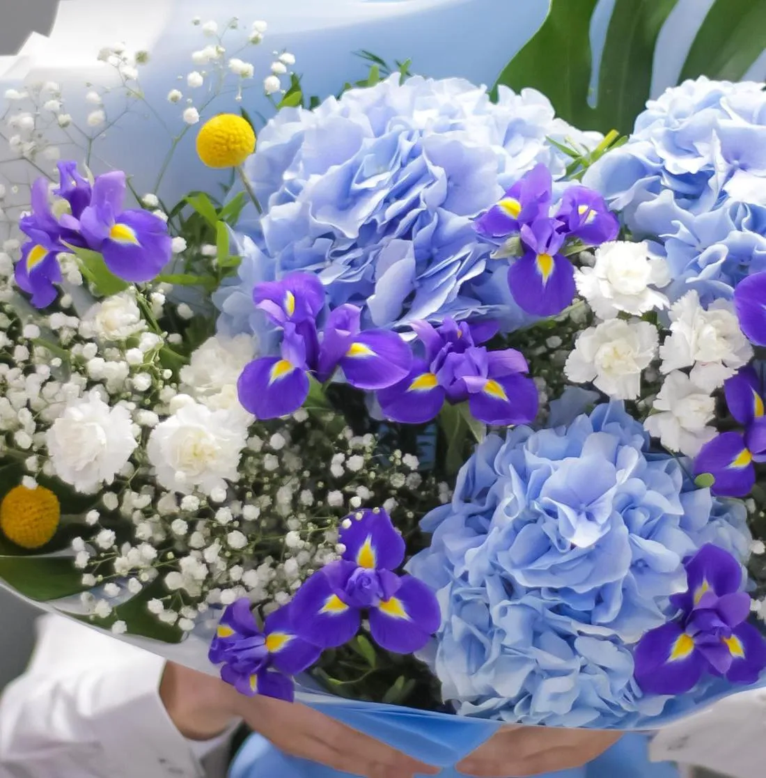 Букет Море волнуется раз