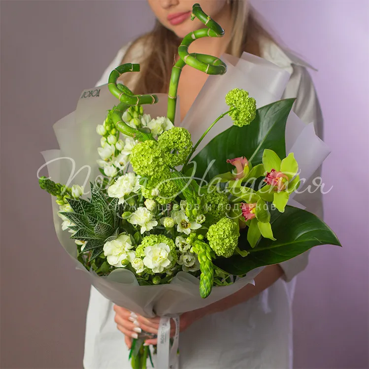 Букеты из орнитогалума