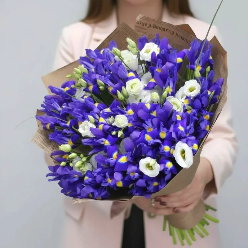 ИРИСЫ Букет Капризная