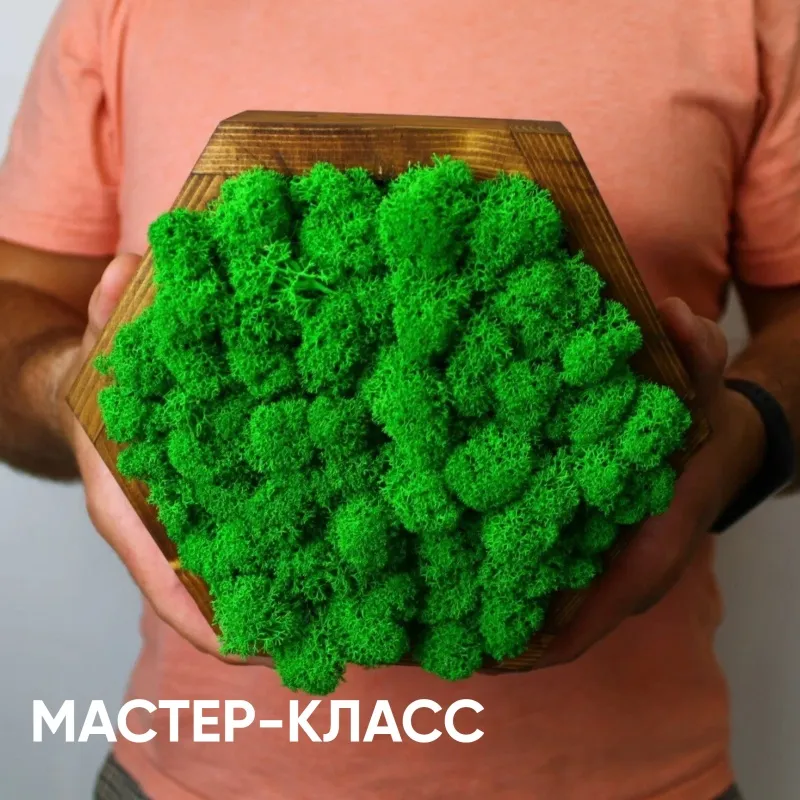 Зеленое Картина из стабилизированных цветов