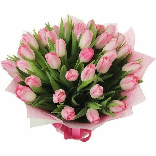 Красивые букеты тюльпанов