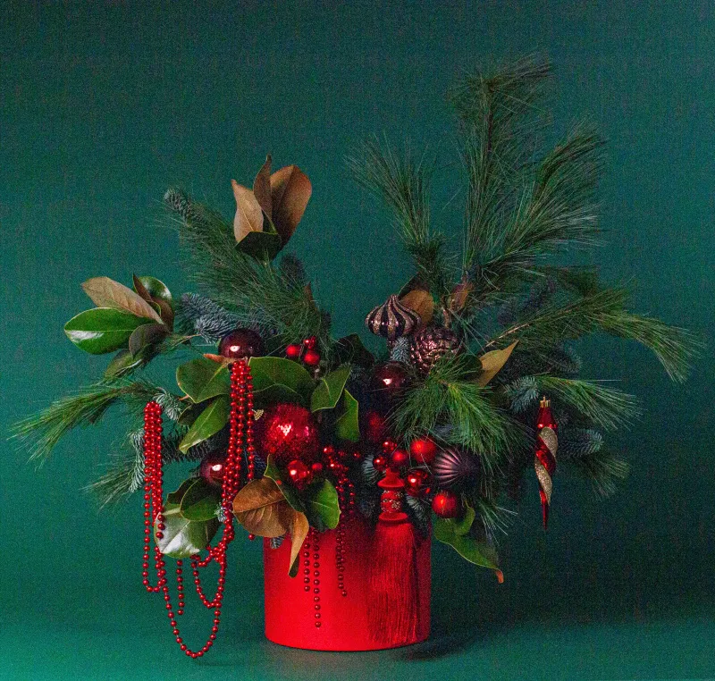 Новый год Зимний румянец