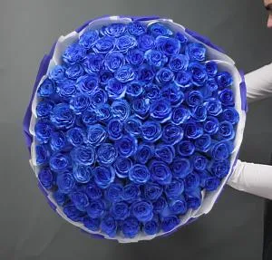 101 синяя роза