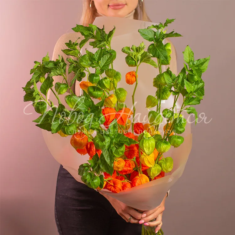 ОСЕНЬ Букет Яркая осень