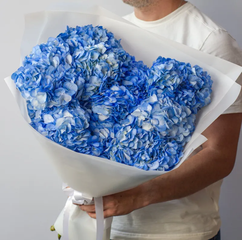 ГОРТЕНЗИИ Букет Морской лев