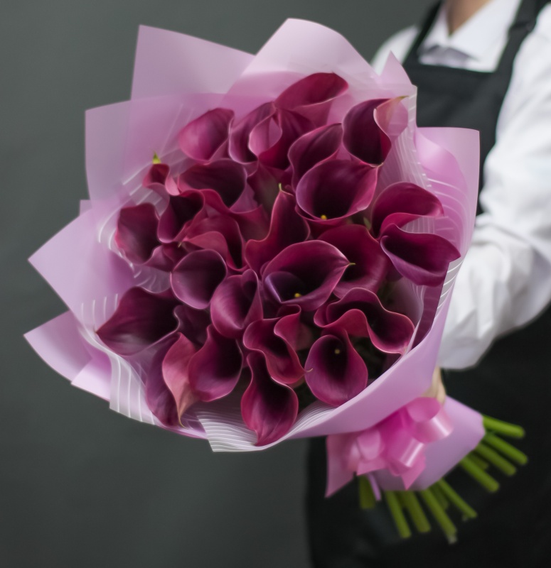 Бордовые каллы