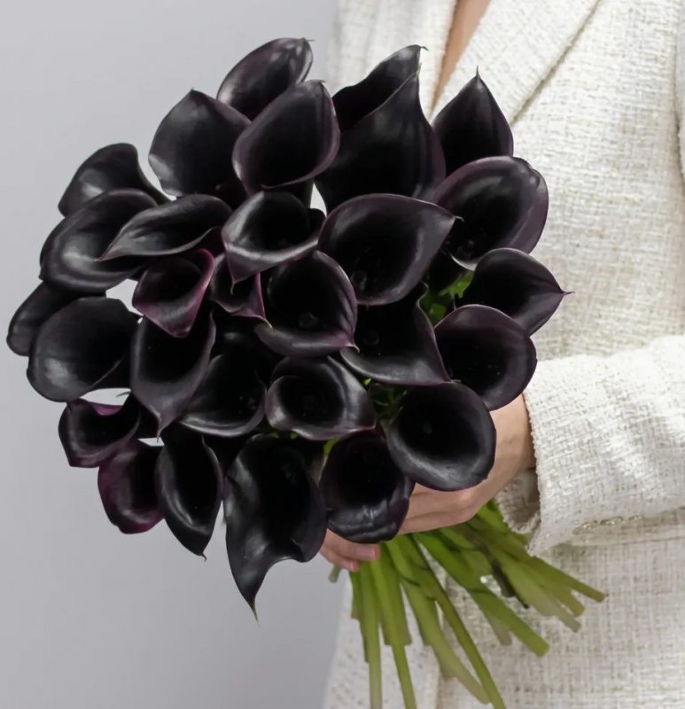 КАЛЛЫ Букет 29 фиолетовых калл