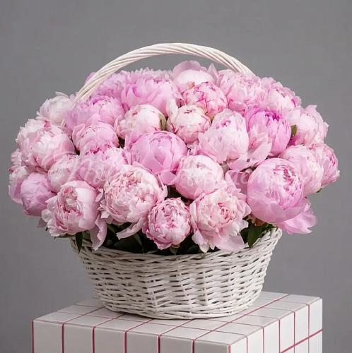 ПИОНЫ Букет Лазурный берег