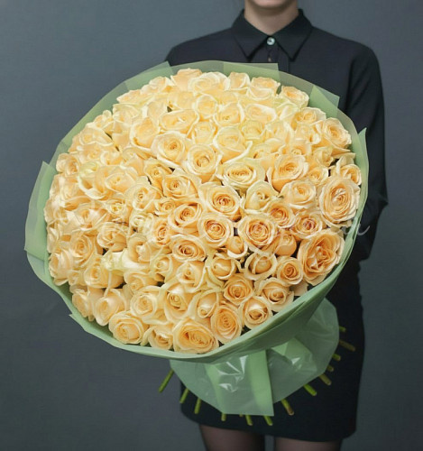 101 роза Букет Бари