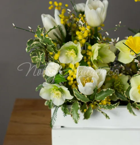 Букет Первые подснежники — Повод Найдется