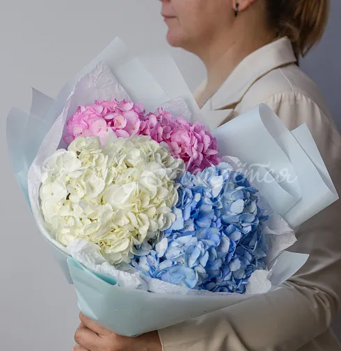 Букет Космополитен — Повод Найдется