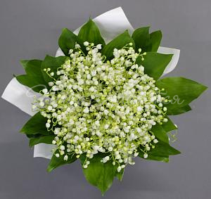 Сказки леса