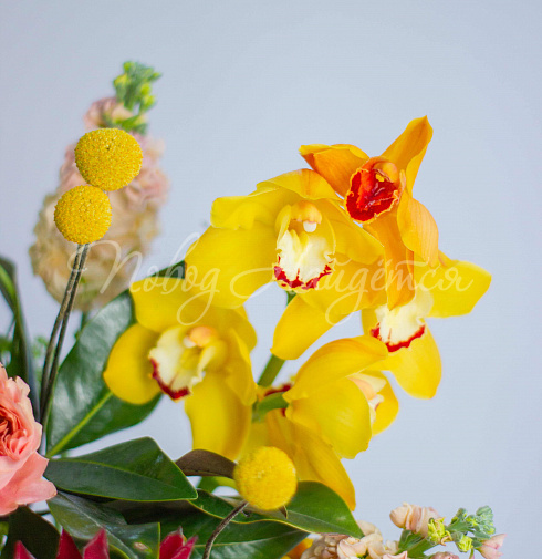 Букет Солнце Колорадо — Повод Найдется