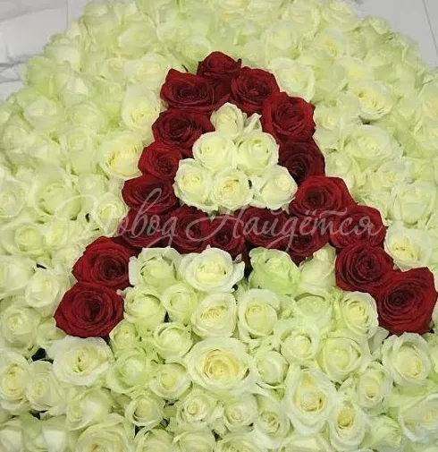 Букет А — Повод Найдется