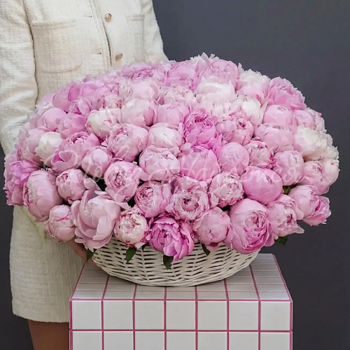 ПИОНЫ Букет 101 пион