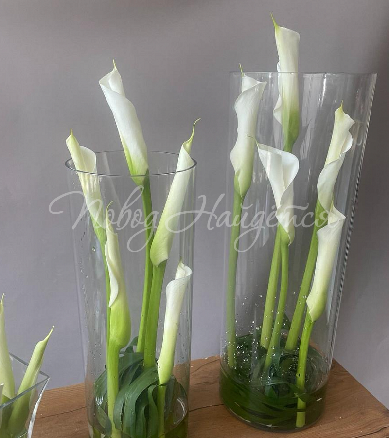 Цветочная композиция Композиция № 451