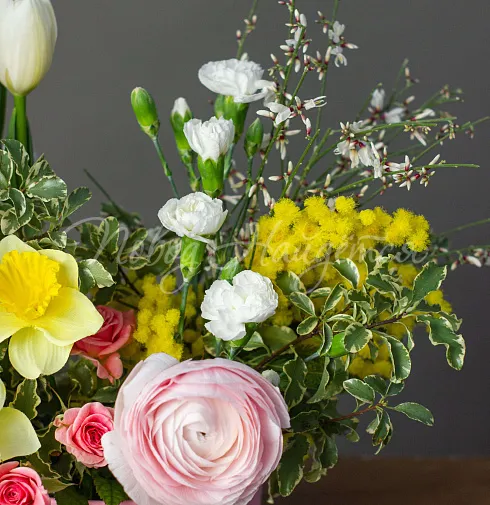 Корпоративный 050