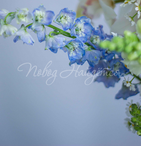 Букет Особая романтика — Повод Найдется