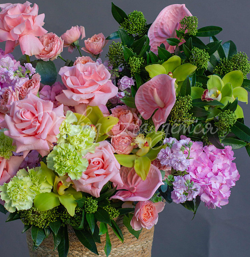 Корзина Житель твоих снов — Повод Найдется