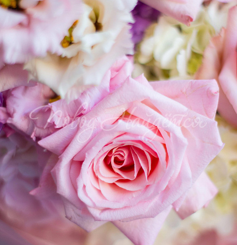 Букет Притягательная — Повод Найдется