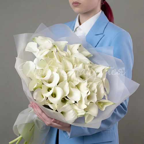 Монобукеты Букет Снежное покрывало