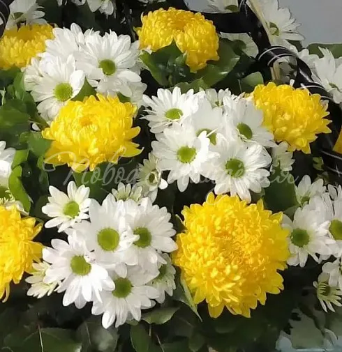 Букет Траурная корзина №7 — Повод Найдется