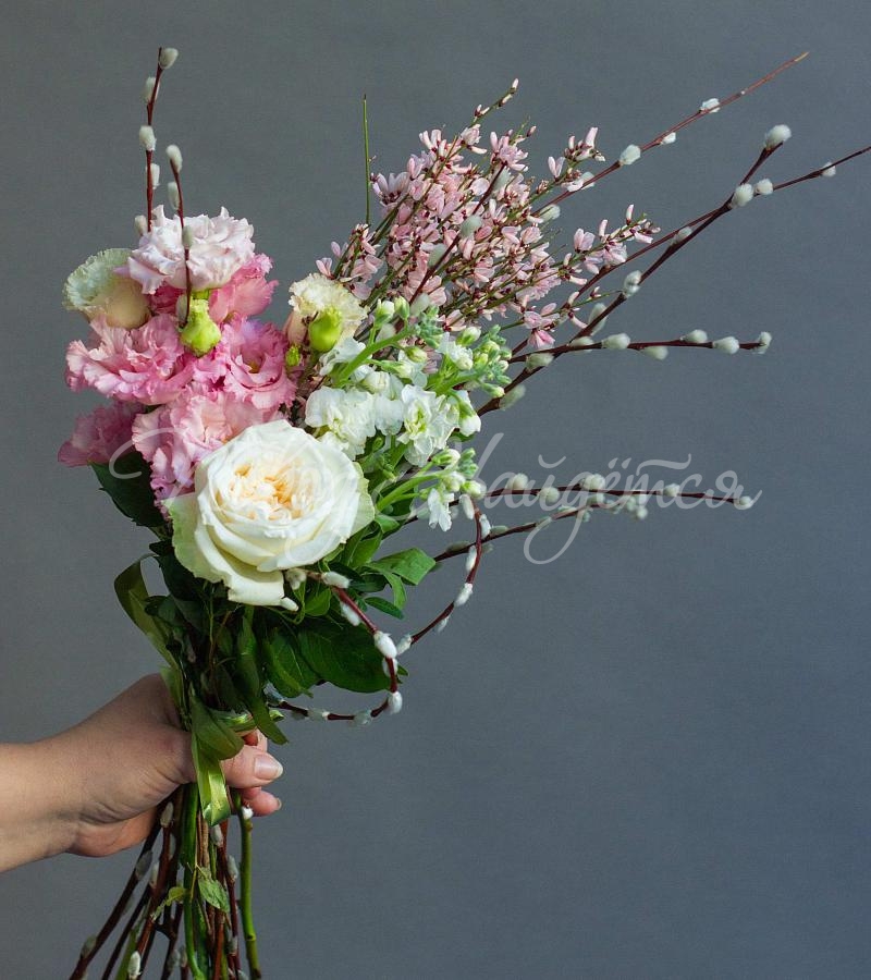 Новая весна