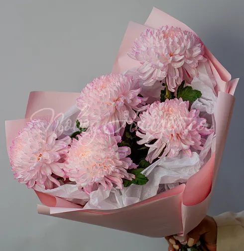 Букет Джерси — Повод Найдется