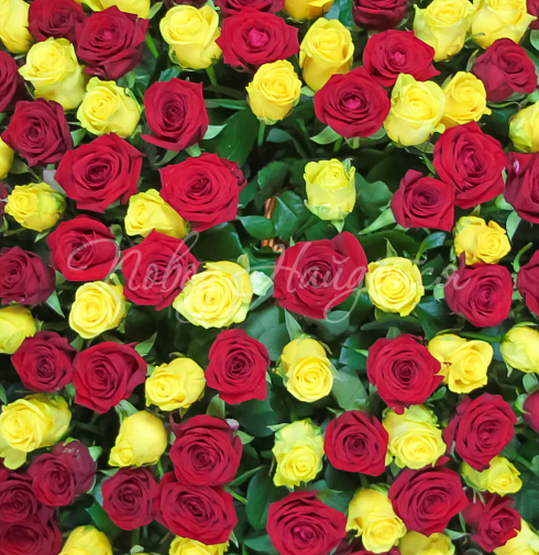 Букет Вашингтон — Повод Найдется