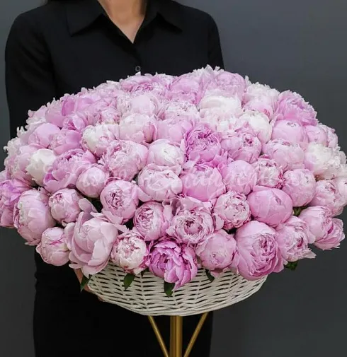 Букет 101 пион — Повод Найдется